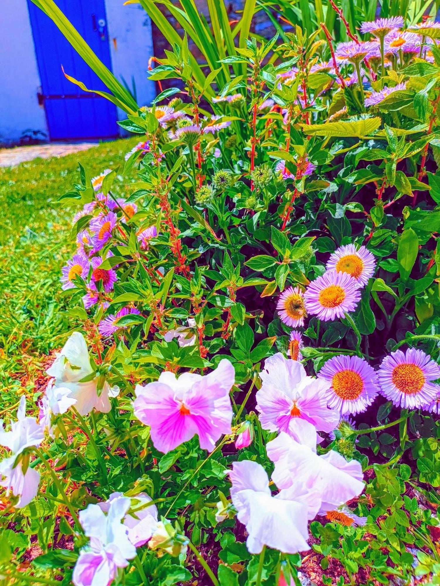 Ty Porzh Villa Porspoder Bagian luar foto